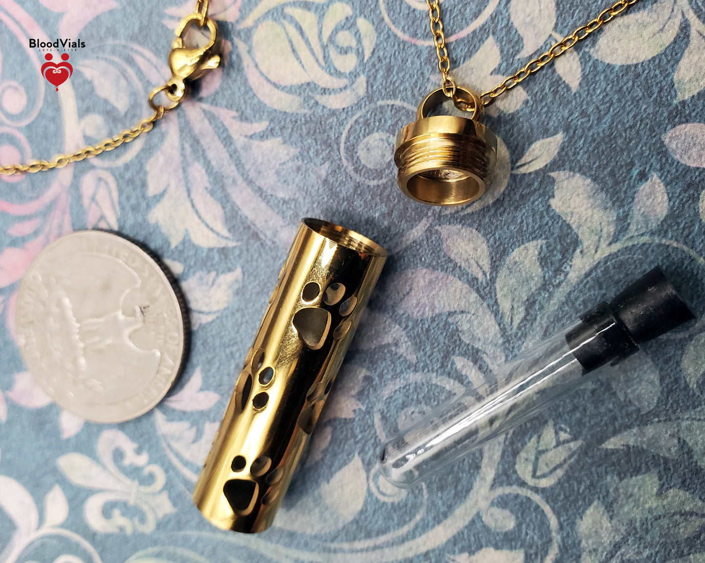 1 Paw Cylinder BloodVial Pendant Necklace Kit  | Cat, Dog, Pet Pawprint Charm with Silvertone Chain (BloodBond)