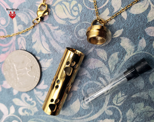 1 Paw Cylinder BloodVial Pendant Necklace Kit  | Cat, Dog, Pet Pawprint Charm with Silvertone Chain (BloodBond)